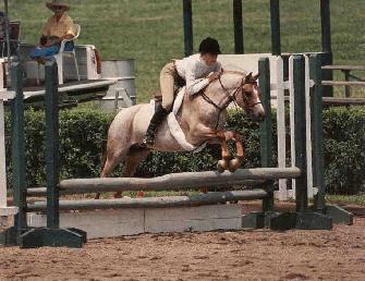 Champion in-hand and performance mare, Brookside Pink Magnolia, by Duntarvie Janus